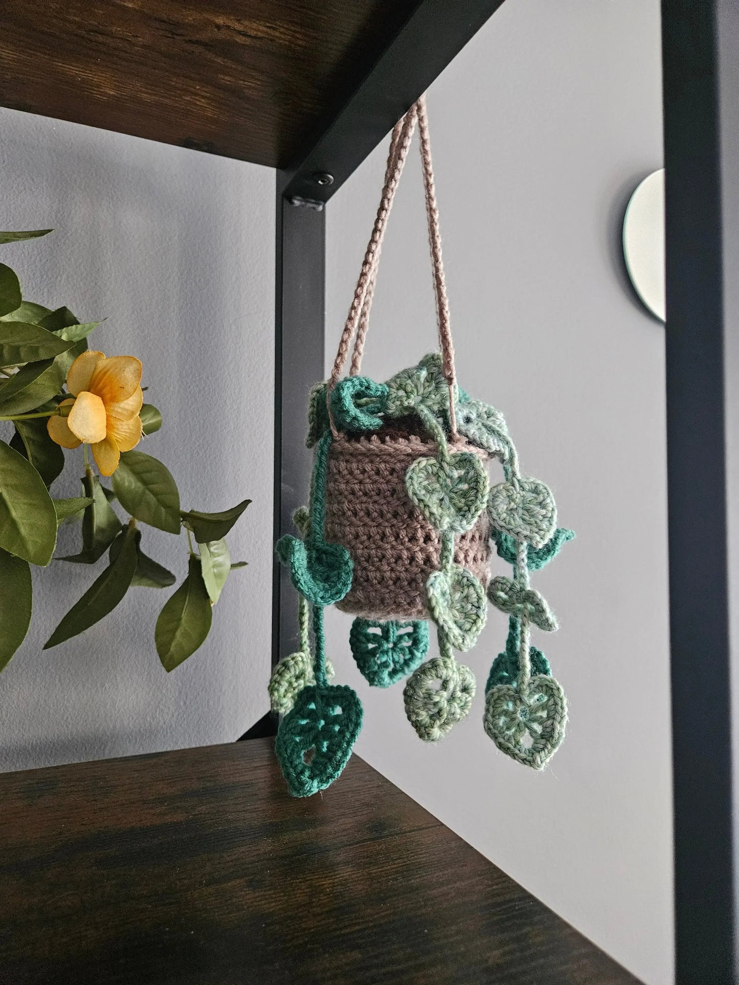 Crochet Hanging Plant - Handmade by Erika Liesel