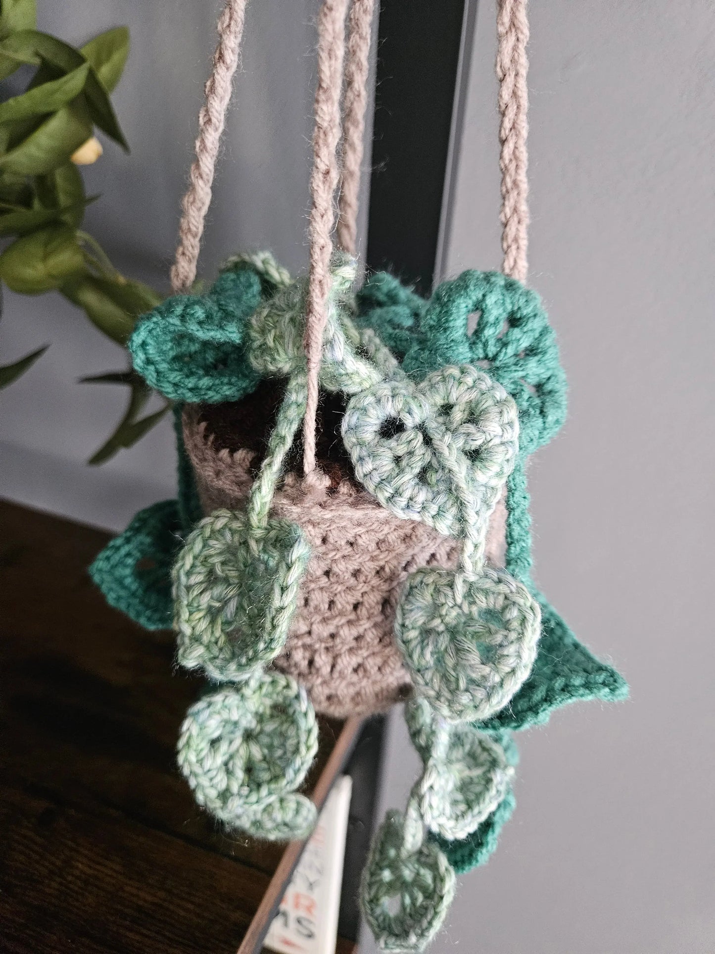 Crochet Hanging Plant - Handmade by Erika Liesel