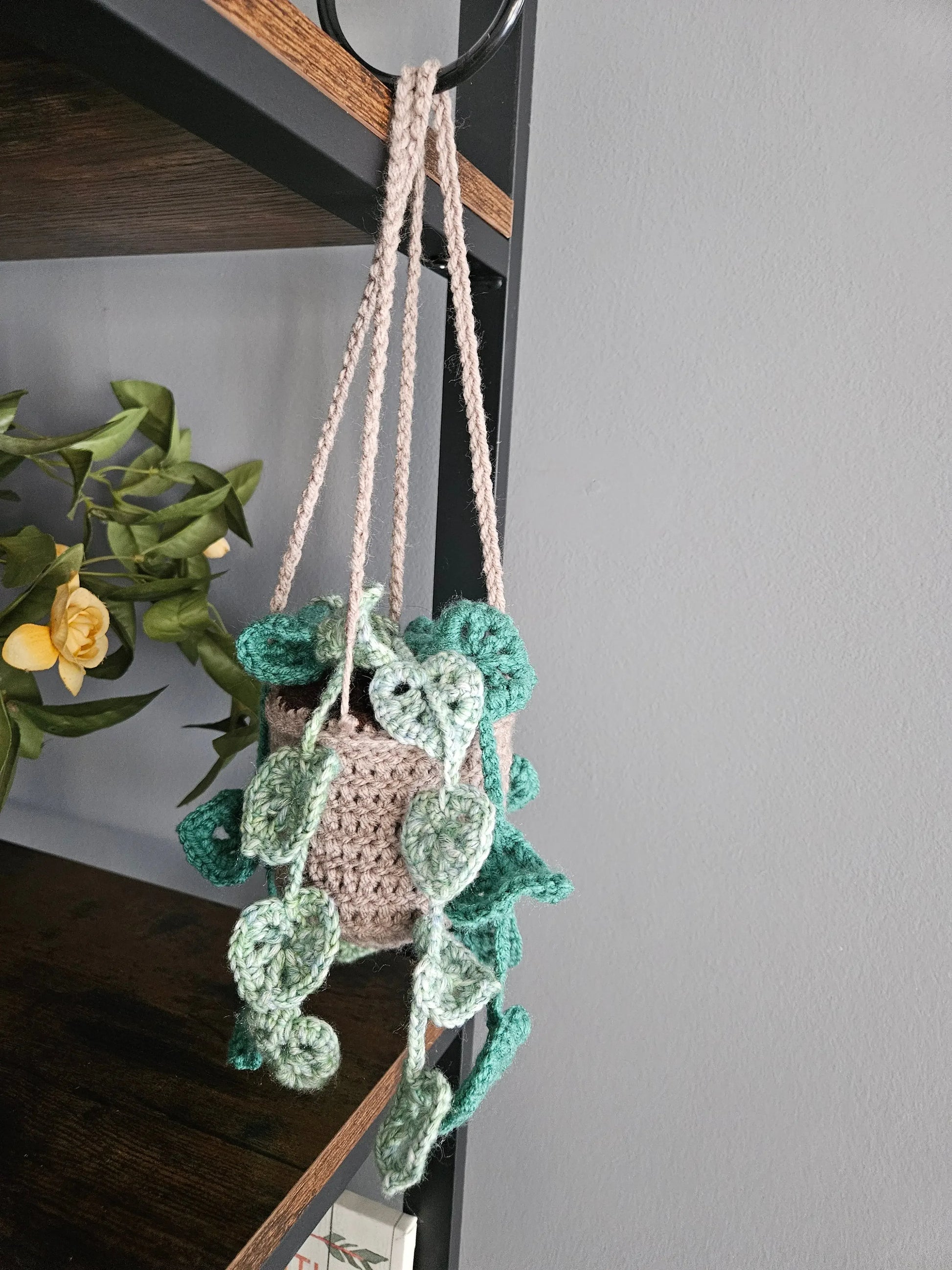 Crochet Hanging Plant - Handmade by Erika Liesel