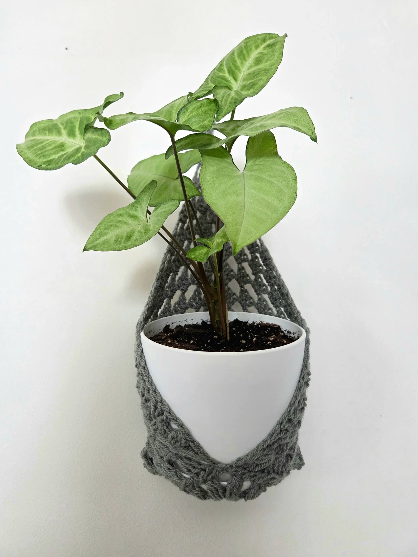 Crochet Wall Pocket Hanger - Handmade by Erika Liesel