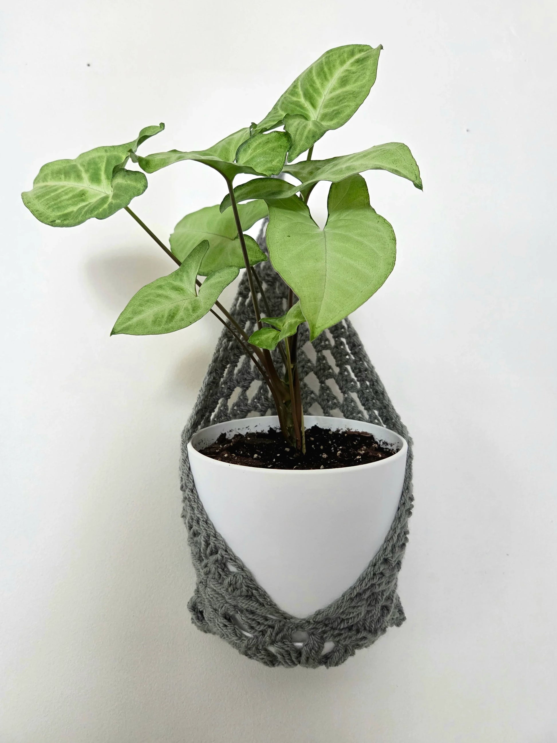 Crochet Wall Pocket Hanger - Handmade by Erika Liesel