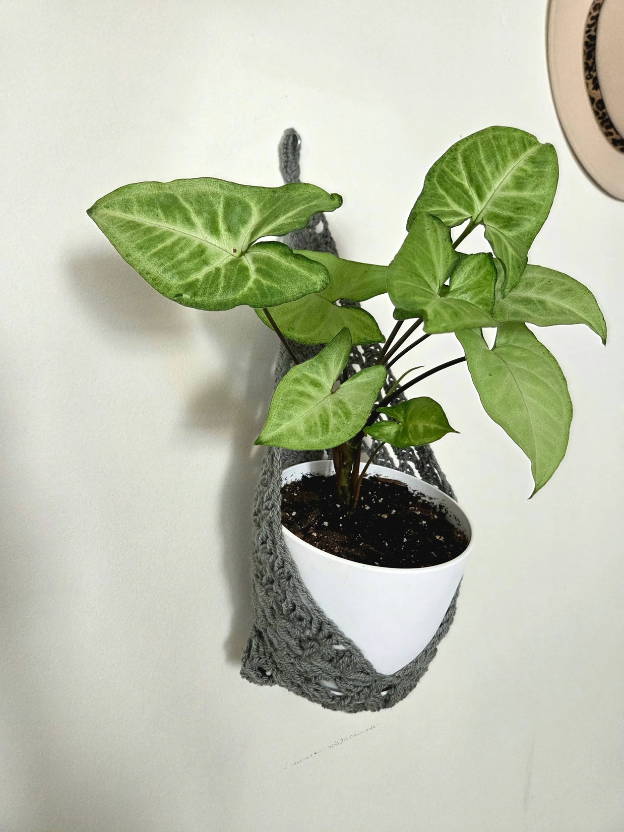 Crochet Wall Pocket Hanger - Handmade by Erika Liesel